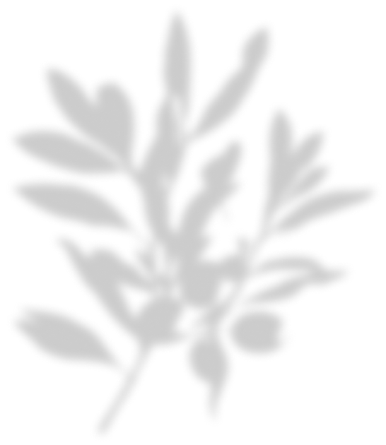 Icône branche grisée (variante)