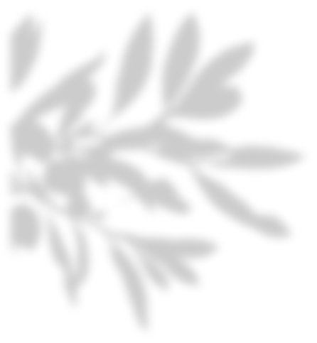 Icône branche floutée