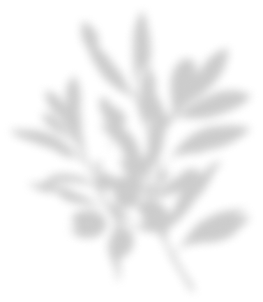 Icône branche grisée